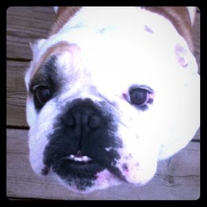 Meet your Posher, Beverly